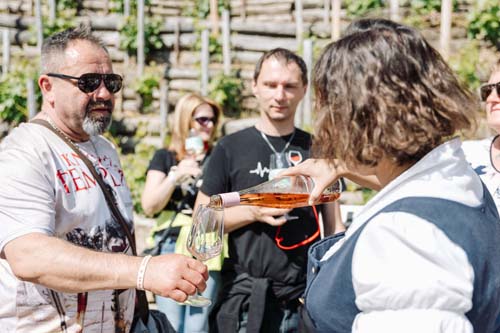 Festival vína VOC Znojmo